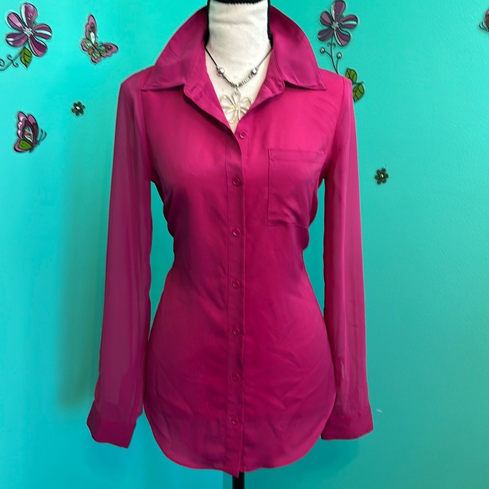 Allen B by Allen Schwartz Sheer Long Sleeve Button Down blouse